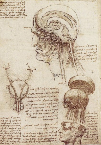 Leonardo+da+Vinci-1452-1519 (412).jpg
